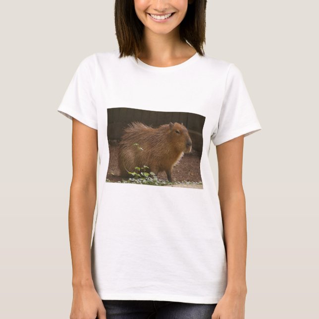 T-shirt Capybara (Frente)