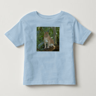 T-shirt CaracalBCR015
