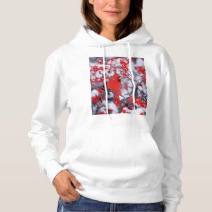 T-shirt Cardinal-vermelho macho, Inverno, IL