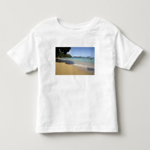 T-shirt Caribe - Tobago - Praia ao longo do Atlântico