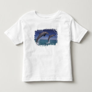 T-shirt Caribenhos, golfinhos-nariz-de-garrafa Tursiops