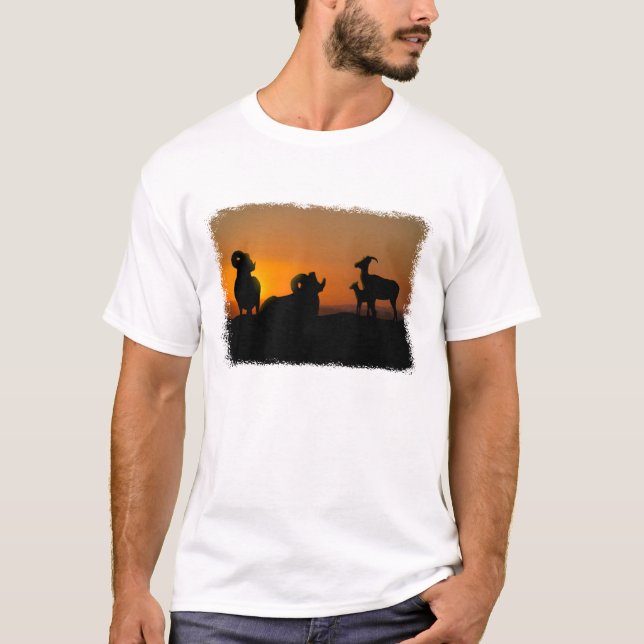 T-shirt Carneiro de Bighorn (Frente)