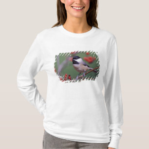 T-shirt Carolina Chickadee