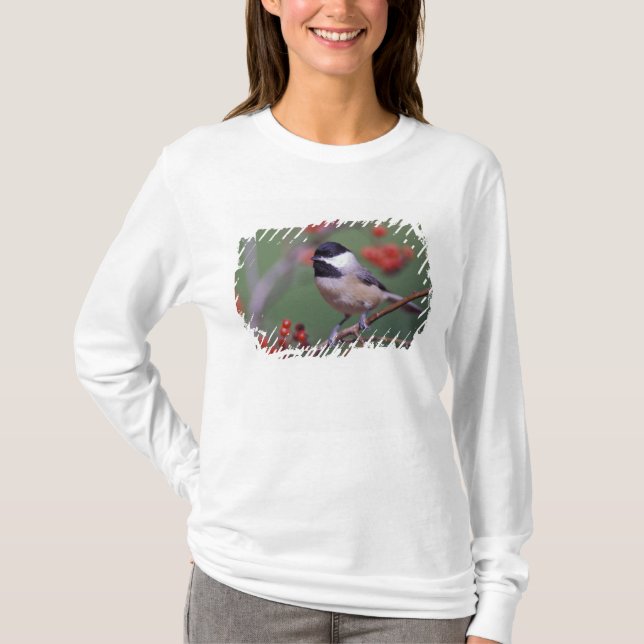 T-shirt Carolina Chickadee (Frente)