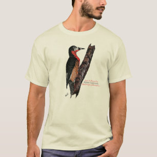 T-shirt Carpintero de Porto Rico/Pica-Pau
