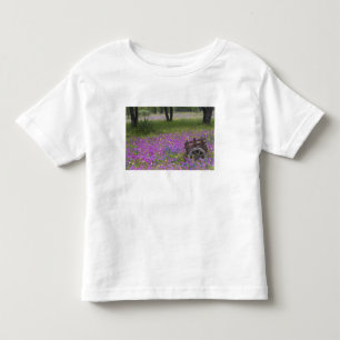 T-shirt Carrinho de madeira em campo de Phlox, Bonés Azuis