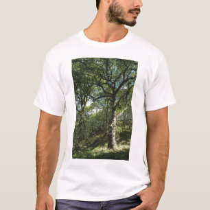 T-shirt Carvalhos antigos