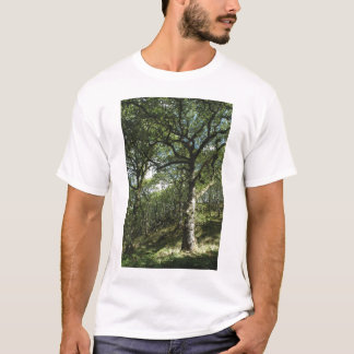 T-shirt Carvalhos antigos