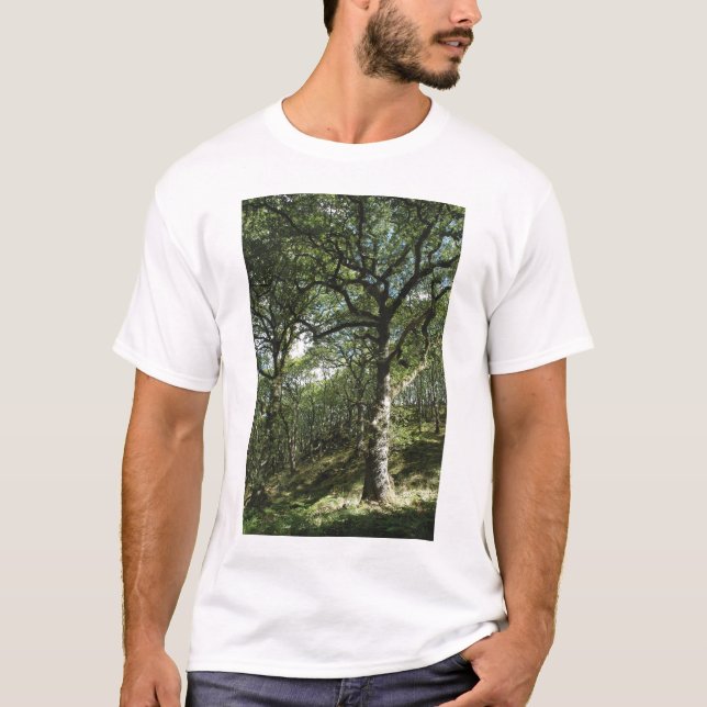 T-shirt Carvalhos antigos (Frente)