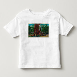 T-shirt Casa na árvore mundialmente famosa, parque da