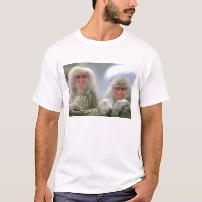T-shirt Casal de Macaco da Neve, Macaco Japonês, (Frente)
