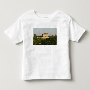 T-shirt Castelo Lafleur Petrus e vinha, em Pomerol,