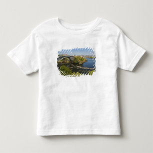 T-shirt Cataratas reversas no rio St. John em St. 2
