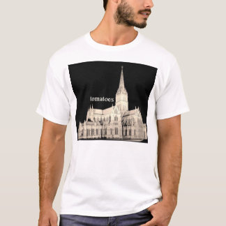 T-shirt catedral dos tomates