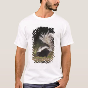 T-shirt Catingueira, Mephitis mephitis