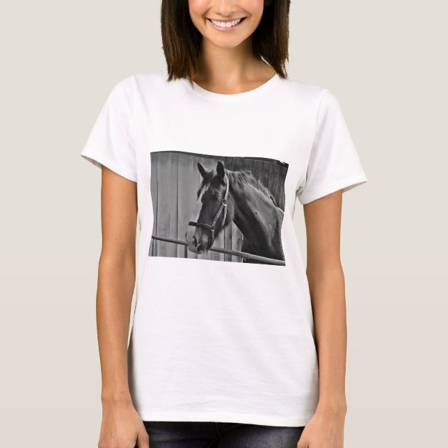 T-shirt Cavalo Branco Negro - Fotografia Animal (Frente)