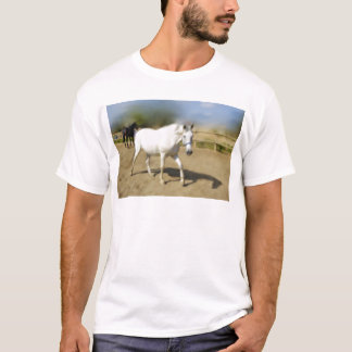 T-SHIRT CAVALO BRANCO PINTADO