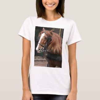 T-shirt Cavalo de esboço