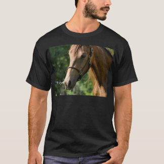 T-shirt Cavalo de Morgan do Buckskin