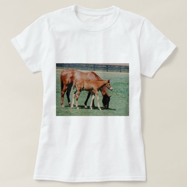 T-SHIRT CAVALOS AMIGÁVEIS (Frente do Design)