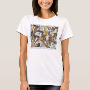 T-shirt Cavalos dos cavalos