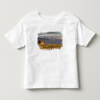 T-shirt Celeiro antigo enquadrado por fardos de feno e dra
