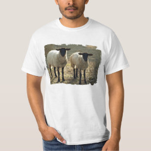 T-shirt Cena pastoral de ovelhas Suffolk no pasto ou quint