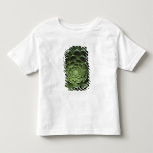 T-shirt Centro do cacto
