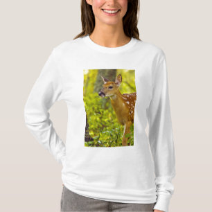 T-shirt Cervo-de-cauda-branca jovem em Whitefish, Montana,