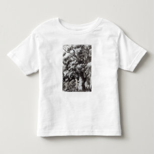 T-shirt Charles II escondido no carvalho