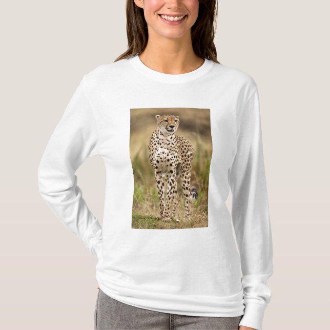 T-shirt Cheetah, Acinonyx jubatus, no Masai Mara (Frente)