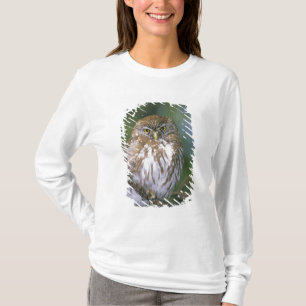T-shirt Chile, Aysen. Coruja-bataria jovem