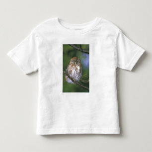 T-shirt Chile, Aysen. Coruja-buraqueira-jovem