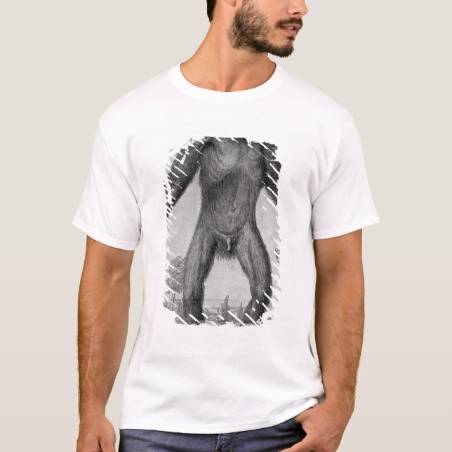 T-shirt Chimpanzé, 1699 (Frente)