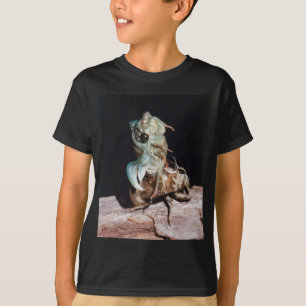 T-shirt Cicada Emergente da Shell