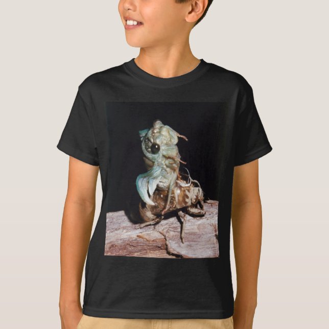 T-shirt Cicada Emergente da Shell (Frente)