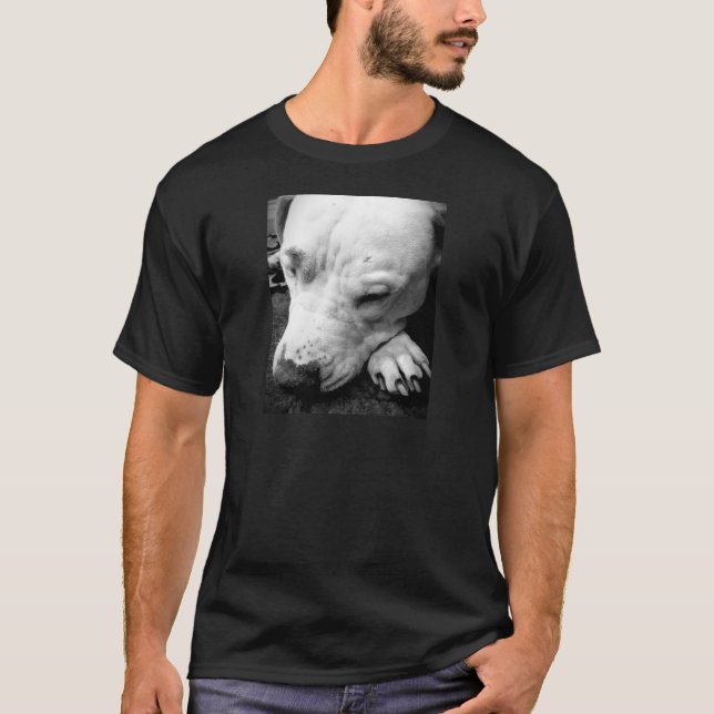 T-shirt cicatriz do harry potter cachorro pit bull branco (Frente)