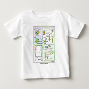 T-shirt Ciclo de vida de um musgo típico (Bryophyte)