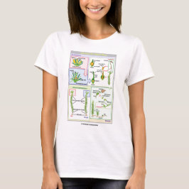 T-shirt Ciclo de vida de um musgo típico (Bryophyte)