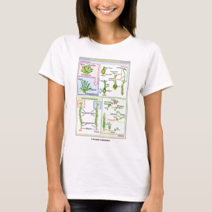 T-shirt Ciclo de vida de um musgo típico (Bryophyte)