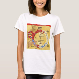 T-shirt Círculo da vida T