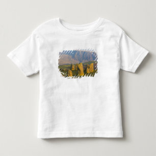 T-shirt Círculo de Pedras Castlerigg, Distrito dos Lagos, 