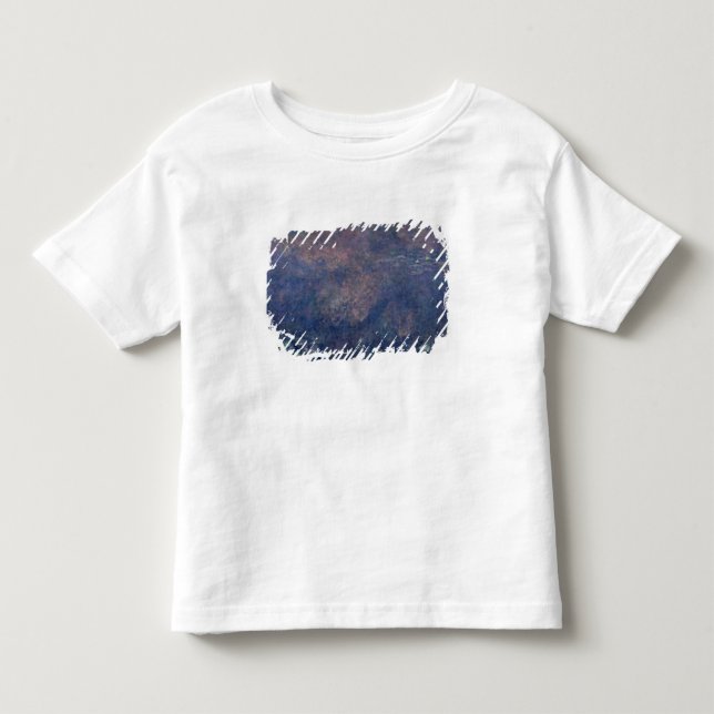 T-shirt Claude Monet | Waterlilies: Centro dos salgueiros (Frente)
