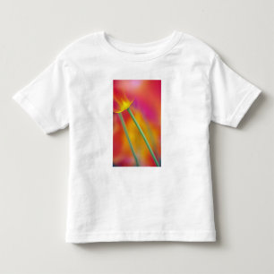 T-shirt Close-up da parte inferior da flor de tulipa,