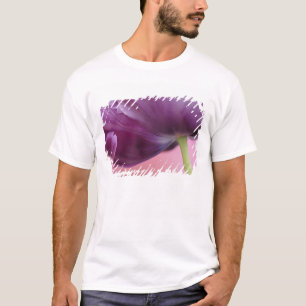 T-shirt Close-up da parte inferior da flor de tulipa, Kuek
