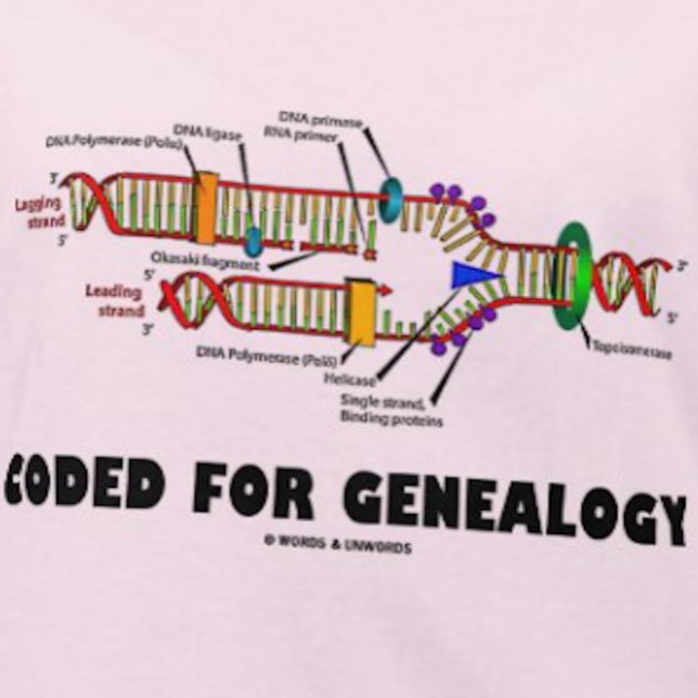 T-shirt Codificado Para A Genealogia (Replicação De DNA) (If you're into genealogy - i.e., as your family's family historian - you'll enjoy this DNA humor tee)