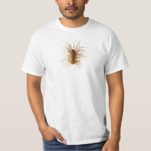 T-shirt Coleoptrata do Scutigera