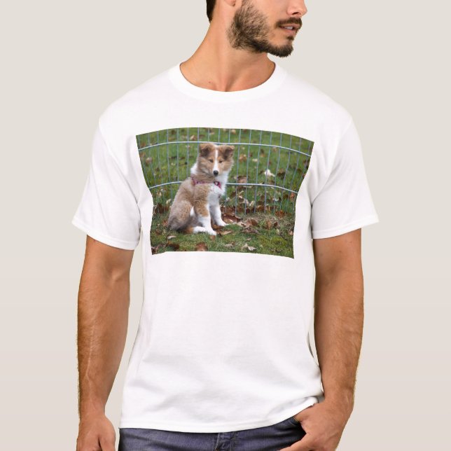 T-shirt Collie bonito super (Frente)