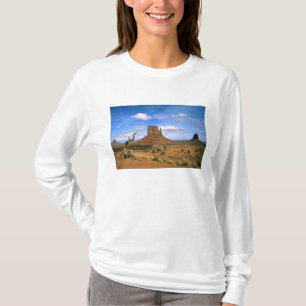 T-shirt Colorido Vale do Monumento Mitens em Utah EUA