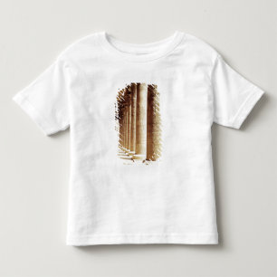 T-shirt Colunas no Pronaos do templo de Horus